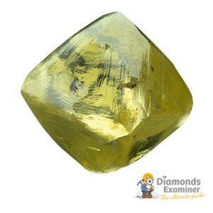 Oppenheimer-Diamond